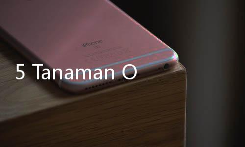 5 Tanaman Obat Pembersih Ginjal, Cocok untuk Jaga Kesehatan