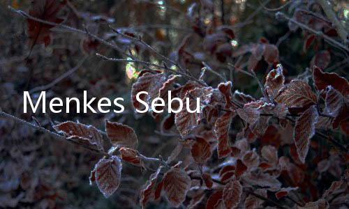 Menkes Sebut Gelar Perkara Kematian PPDS Anestesi Undip Hari ini