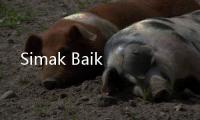 Simak Baik