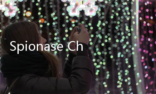 Spionase China Ancam Industri Chip Semikonduktor Belanda